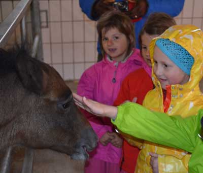 Kindergeburtstage im Lipizzanergestüt Piber sind ein ganz besonderes Erlebnis, © Spanische Hofreitschule – Bundesgestüt Piber