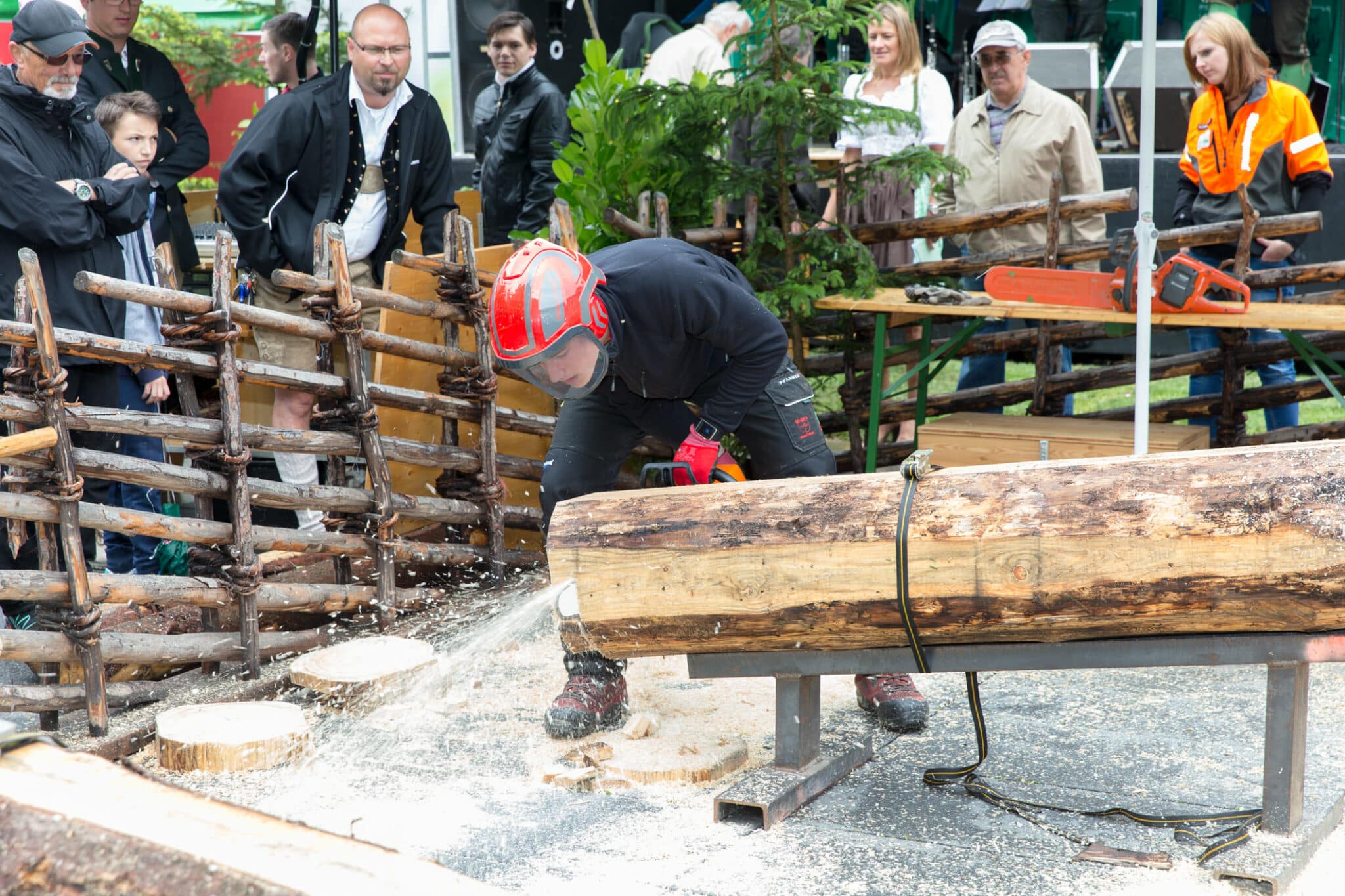 Waldfest3