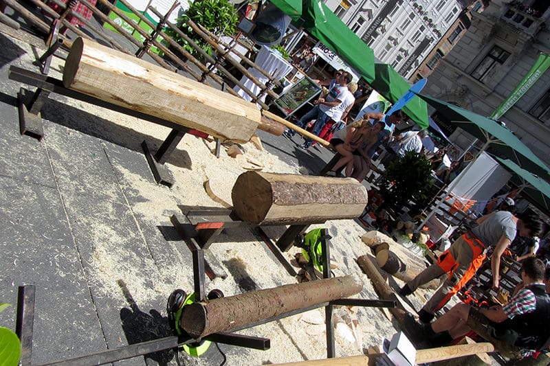 waldfest-graz15