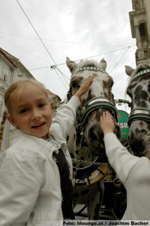 Auch für Kinder wird vieles geboten