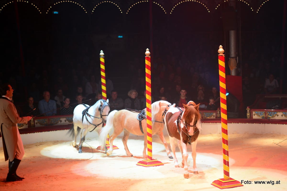 circus-roncalli-graz-069