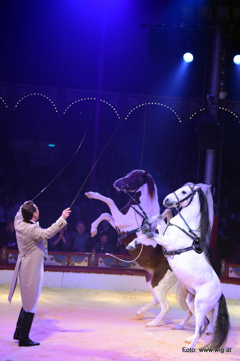 circus-roncalli-graz-070