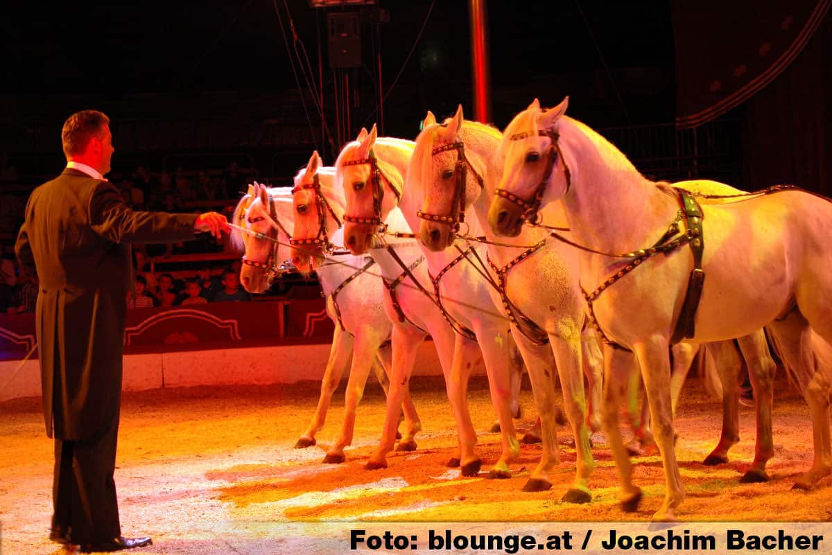 circus-louis-knie-graz-2014-233