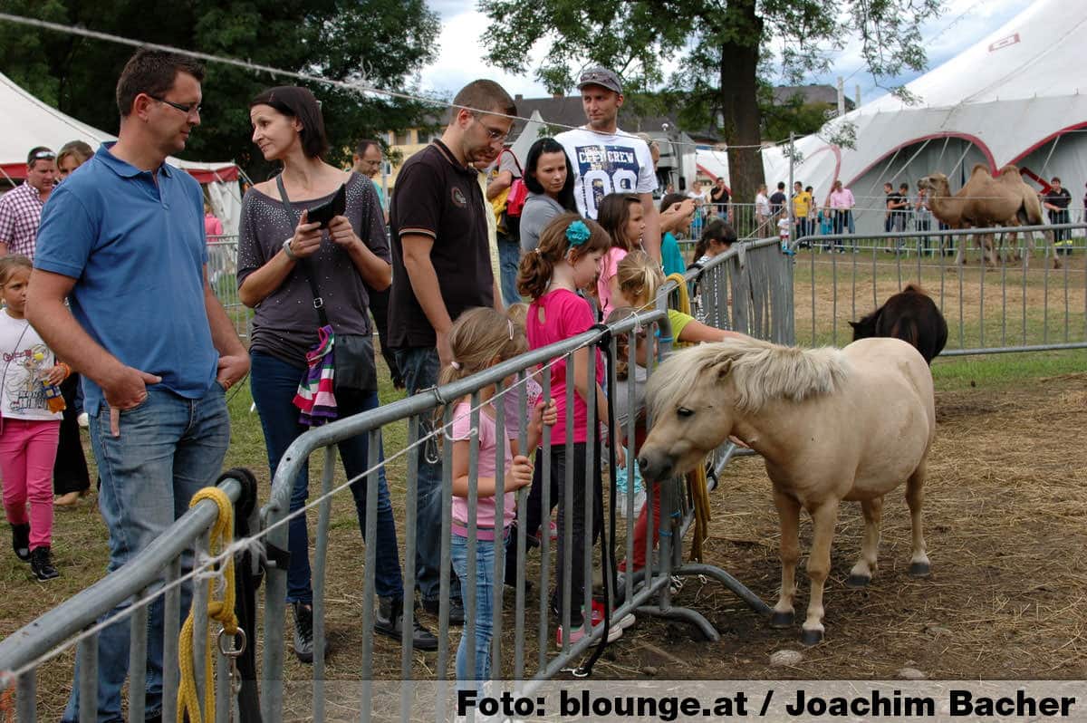 circus-louis-knie-graz-2014-293