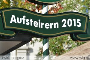 aufsteirern-2015-048