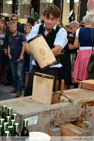 aufsteirern-2015-087