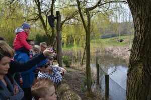 Menschen warten gespannt auf die Geparden Fütterung