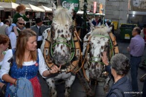 aufsteirern2016-019