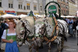 aufsteirern2016-020