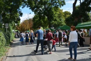 aufsteirern2016-048