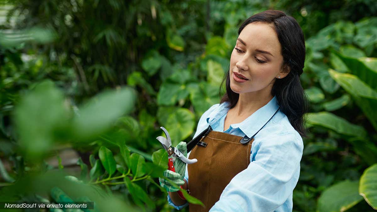 Grünschnitt und Gartenabfälle in Graz entsorgen